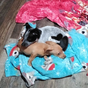 Meet your Posher, Michelle